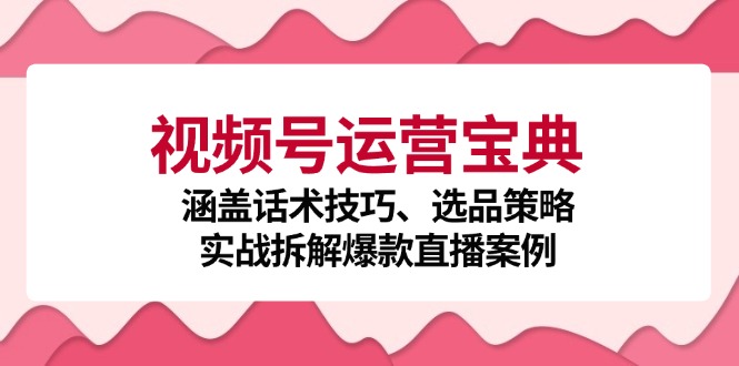 视频号运营宝典：涵盖话术技巧、选品策略、实战拆解爆款直播案例-江南创业网