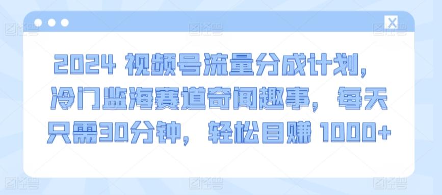 2024视频号流量分成计划，冷门监海赛道奇闻趣事，每天只需30分钟，轻松目赚 1000+【揭秘】-江南创业网