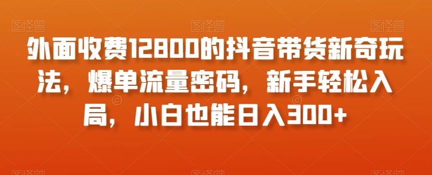 外面收费12800的抖音带货新奇玩法，爆单流量密码，新手轻松入局，小白也能日入300+【揭秘】-江南创业网