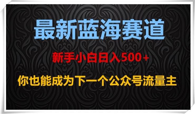 最新蓝海赛道，新手小白日入500+，你也能成为下一个公众号流量主【揭秘】-江南创业网