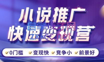 洲洲老师·小说推广快速变现营-江南创业网