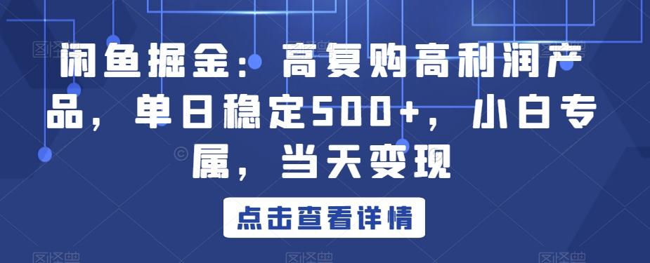 闲鱼掘金：高复购高利润产品，单日稳定500+，小白专属，当天变现-江南创业网