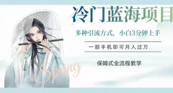冷门蓝海项目，操作简单，小白3分钟上手，多种引流方式，保姆式全流程教学【揭秘】-江南创业网