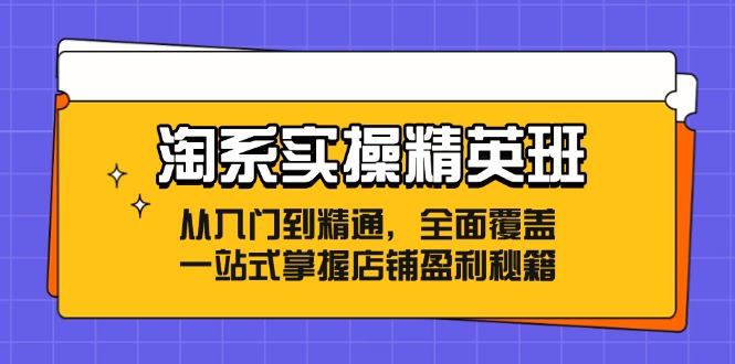 淘系实操精英班：从入门到精通，全面覆盖，一站式掌握店铺盈利秘籍-江南创业网