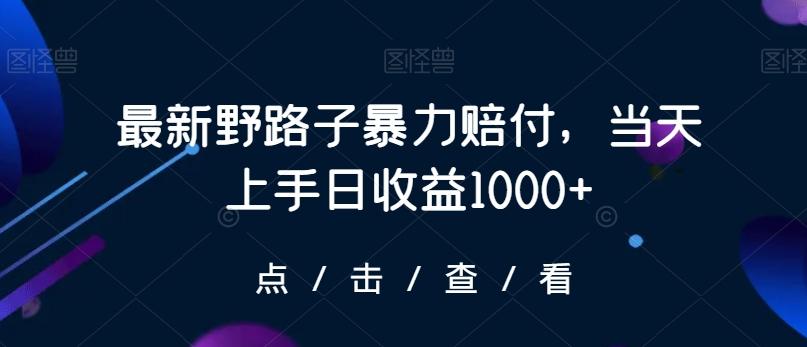 最新野路子暴力赔付，当天上手日收益1000+【仅揭秘】-江南创业网