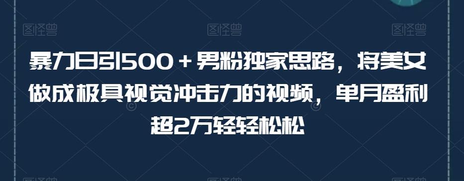 暴力日引500＋男粉独家思路，将美女做成极具视觉冲击力的视频，单月盈利超2万轻轻松松-江南创业网