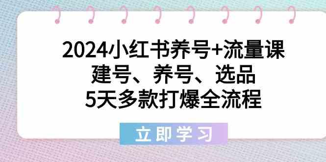 2024小红书养号+流量课：建号、养号、选品，5天多款打爆全流程-江南创业网