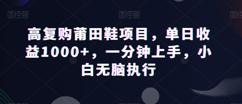 高复购莆田鞋项目，单日收益1000+，一分钟上手，小白无脑执行-江南创业网