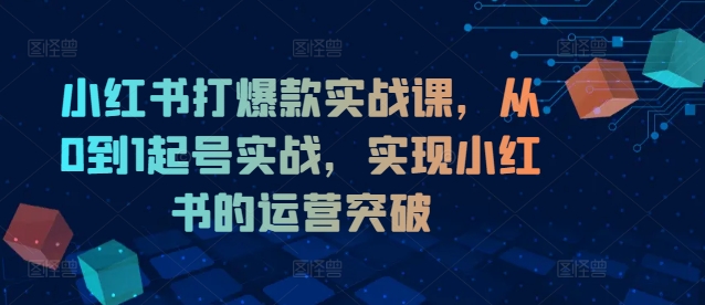 小红书打爆款实战课，从0到1起号实战，实现小红书的运营突破-江南创业网