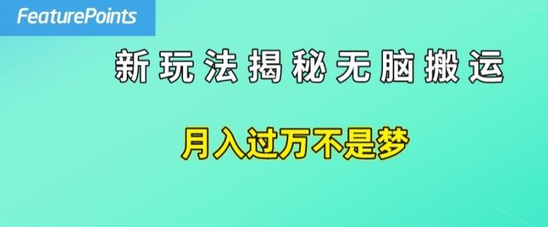 简单操作，每天50美元收入，搬运就是赚钱的秘诀【揭秘】-江南创业网