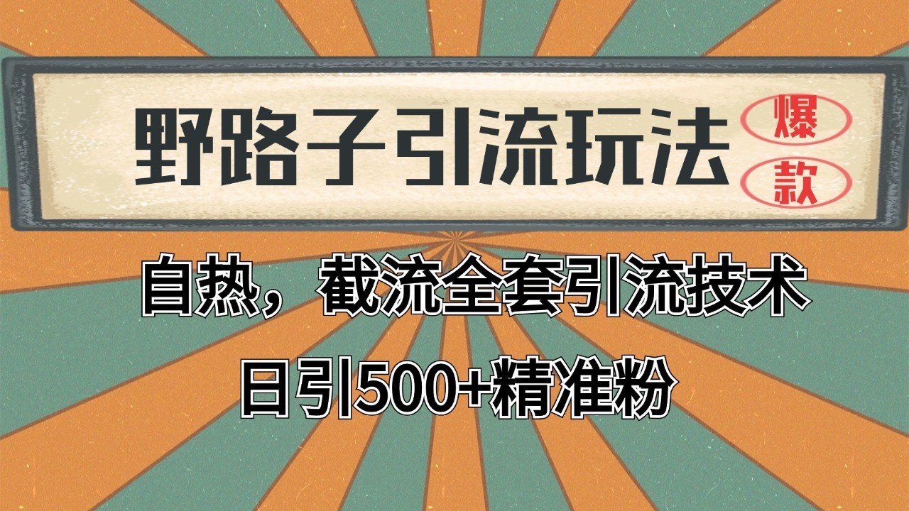 抖音小红书视频号全平台引流打法，全自动引流日引2000+精准客户-江南创业网