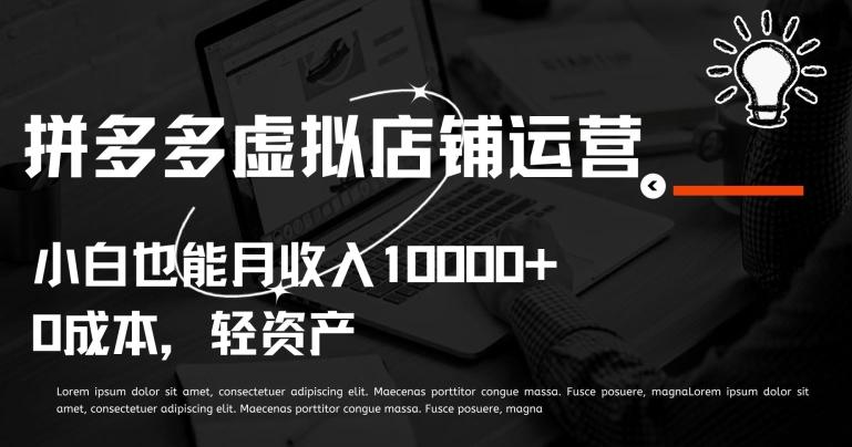 拼多多虚拟店铺运营小白也能月收入10000+【揭秘】-江南创业网