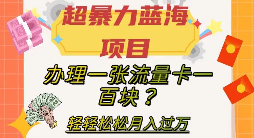 超暴力蓝海项目，办理一张流量卡一百块？轻轻松松月入过万，保姆级教程【揭秘】-江南创业网