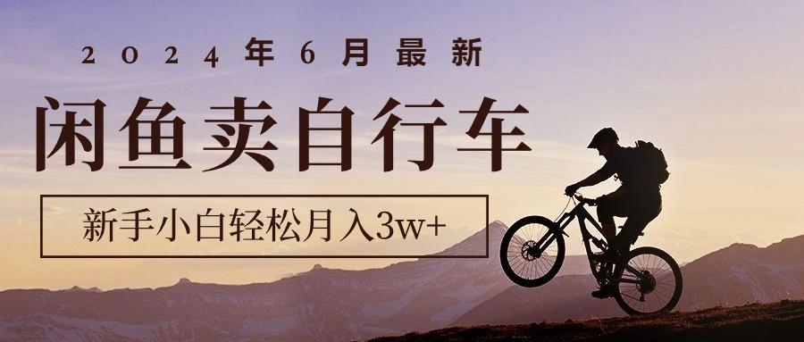 2024年6月最新闲鱼卖自行车，新手小白轻松月入3w+项目-江南创业网