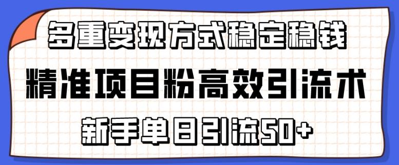 精准项目粉高效引流术，新手单日引流50+，多重变现方式稳定赚钱【揭秘】-江南创业网