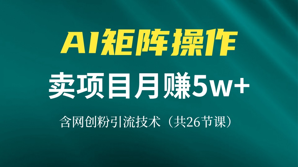 网创IP打造课，借助AI卖项目月赚5万+，含引流技术(共26节课-江南创业网