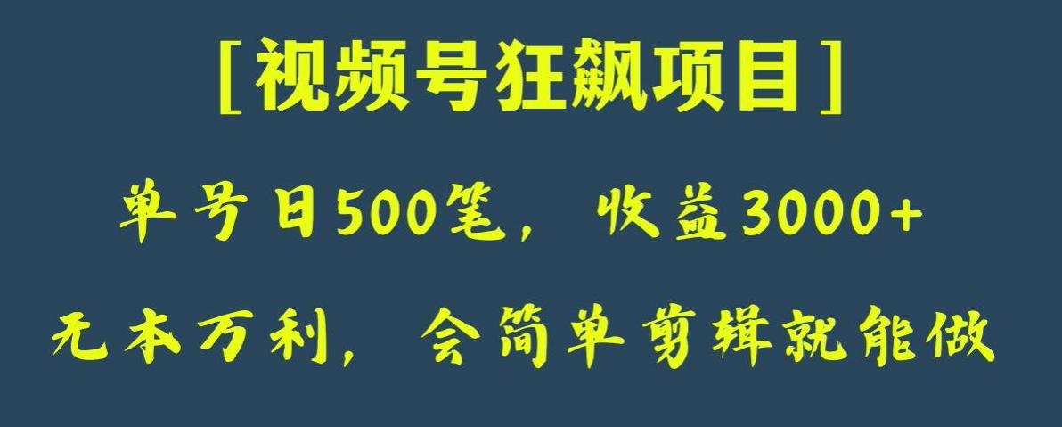 日收款500笔，纯利润3000+，视频号狂飙项目，会简单剪辑就能做【揭秘】-江南创业网