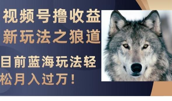 视频号撸收益新玩法之狼道，目前蓝海玩法，轻松月入过万【揭秘】-江南创业网