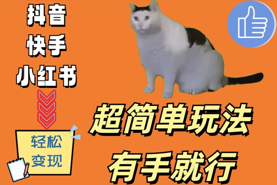 超简单玩法，有手就行，靠猫咪视频日入500+【揭秘】-江南创业网
