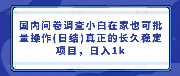 国内问卷调查小白在家也可批量操作(日结)真正的长久稳定项目，日入1k【揭秘】-江南创业网