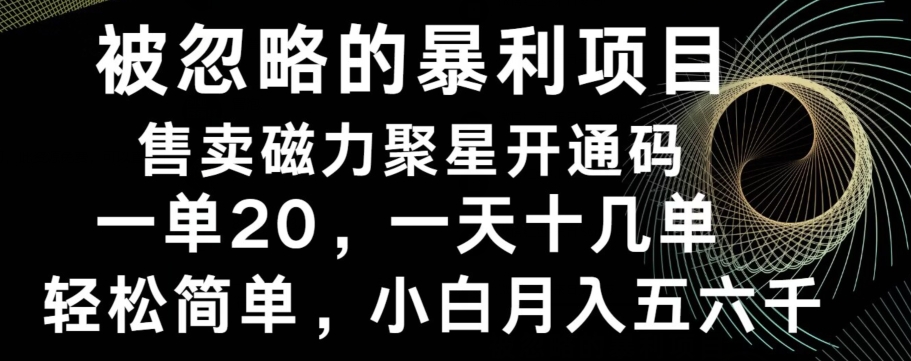 被忽略的暴利项目！售卖磁力聚星开通码，一单20，一天十几单，轻松月入五六千-江南创业网