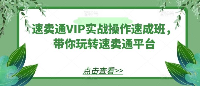 速卖通VIP实战操作速成班，带你玩转速卖通平台-江南创业网