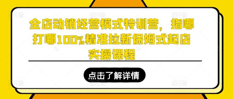 全店动销经营模式特训营，指哪打哪100%精准拉新保姆式起店实操课程-江南创业网