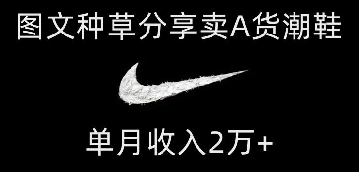 靠图文种草分享卖A货潮鞋，每天一小时，单月收入2万+【揭秘】-江南创业网