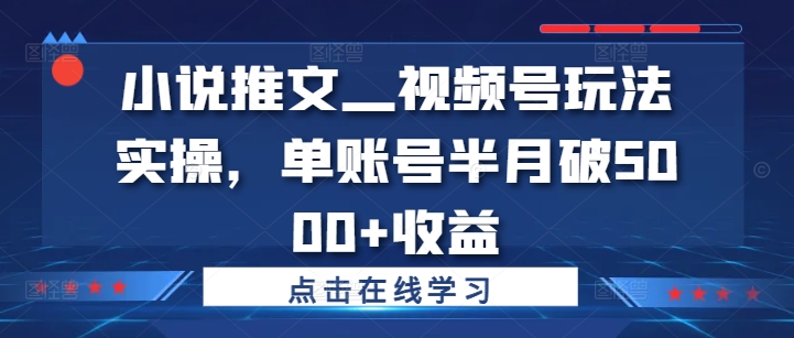 小说推文—视频号玩法实操，单账号半月破5000+收益-江南创业网