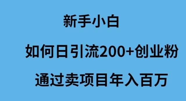 (9668期)新手小白如何日引流200+创业粉通过卖项目年入百万-江南创业网
