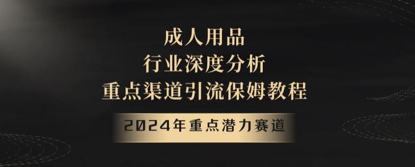2024年重点潜力赛道，成人用品行业深度分析，重点渠道引流保姆教程【揭秘】-江南创业网