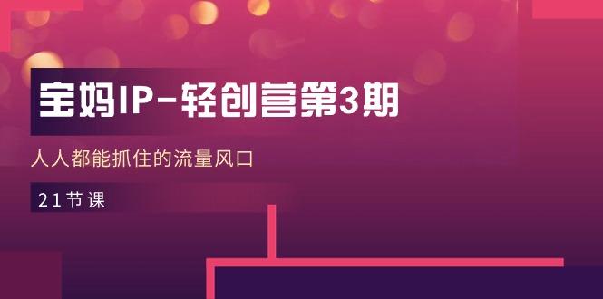 宝妈IP-轻创营第3期，人人都能抓住的流量风口(21节课-江南创业网