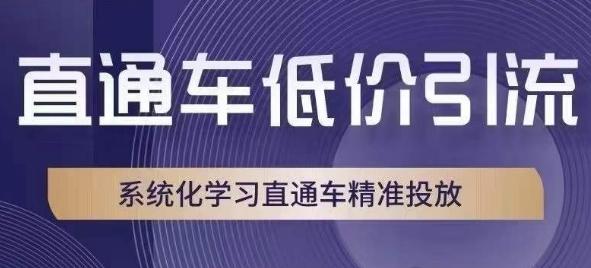 直通车低价引流课，系统化学习直通车精准投放-江南创业网