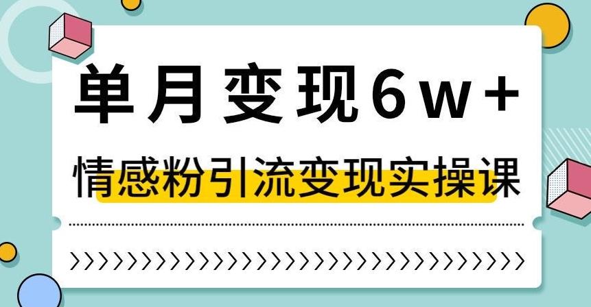 单月变现6W+，抖音情感粉引流变现实操课，小白可做，轻松上手，独家赛道【揭秘】-江南创业网