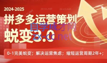大力老师·2024拼多多运营策略蜕变3.0-江南创业网