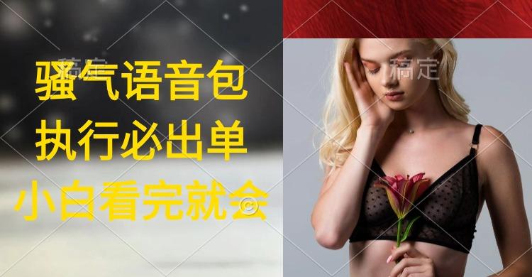 (9589期)执行就出单，日入2000+，超火骚气语音包，小白看完课程就能马上实操-江南创业网