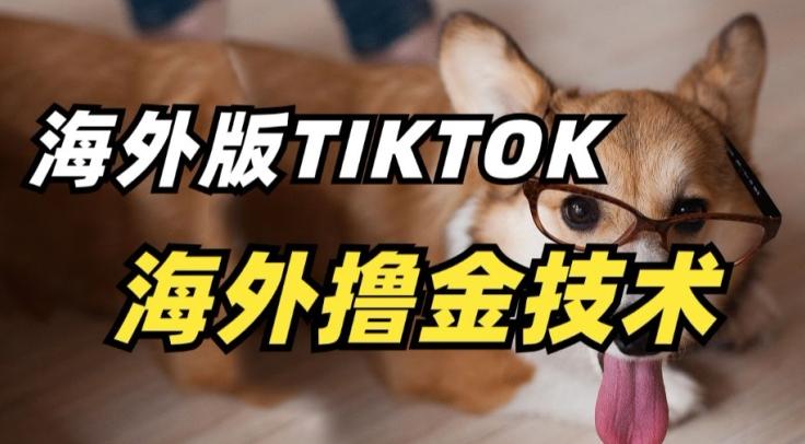 抖音海外版tiktok撸金技术，这个风口行业，赚钱真的不难【揭秘】-江南创业网