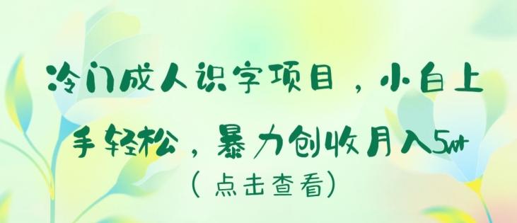 冷门成人识字项目，小白上手轻松，暴力创收月入5w+【揭秘】-江南创业网