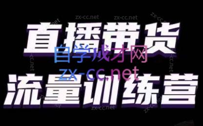 婉婉·直播带货课程系列合集(更新8月)-江南创业网