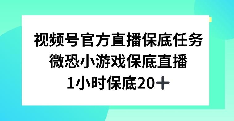 视频号直播任务，微恐小游戏，1小时20+【揭秘】-江南创业网
