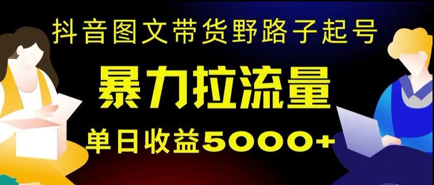 抖音图文带货暴力起号，单日收益5000+，野路子玩法，简单易上手，一部手机即可【揭秘】-江南创业网