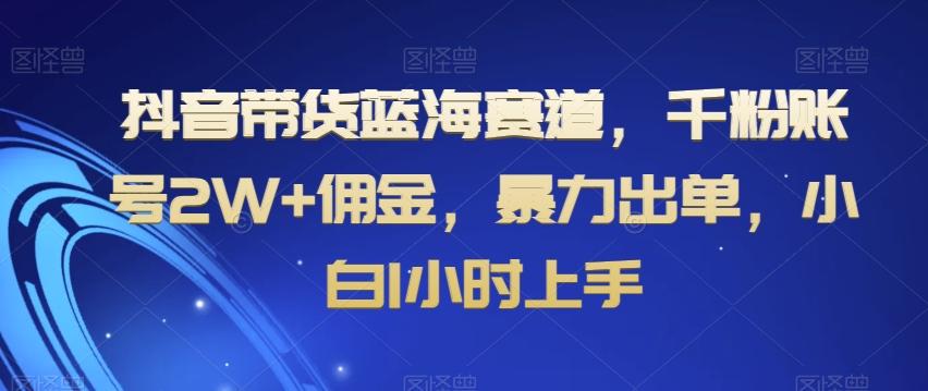 抖音带货蓝海赛道，千粉账号2W+佣金，暴力出单，小白1小时上手【揭秘】-江南创业网