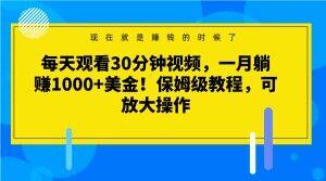 每天观看30分钟视频，一月躺赚1000+美金！保姆级教程，可放大操作【揭秘】-江南创业网