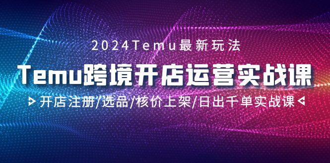 2024Temu跨境开店运营实战课，开店注册/选品/核价上架/日出千单实战课-江南创业网