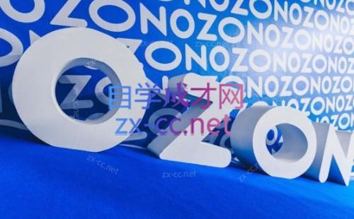 森哥·出海俄罗斯电商实操(2024)-江南创业网