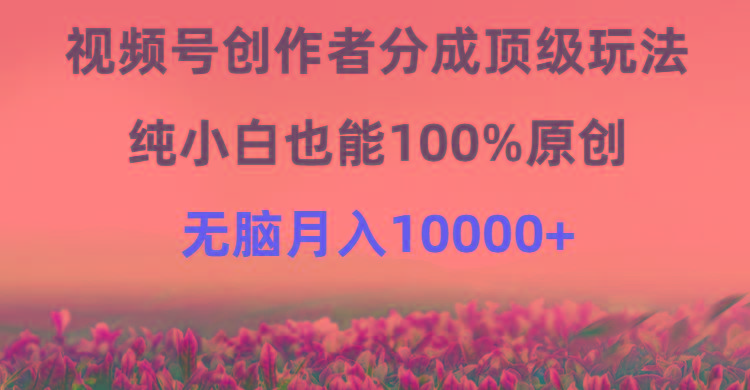 (9608期)视频号创作者分成顶级玩法，纯小白也能100%原创，无脑月入10000+-江南创业网