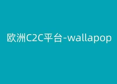 欧洲C2C平台-wallapop-kim跨境电商教程-江南创业网