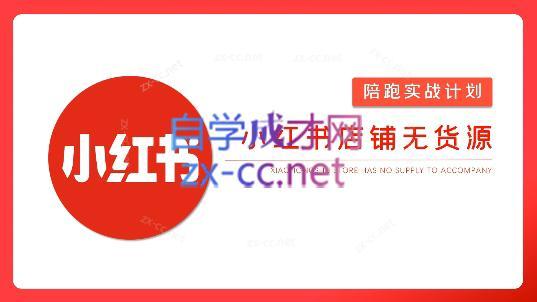 安琪·小红书店铺无货源-江南创业网