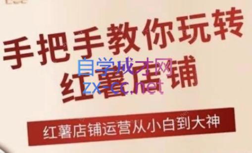 海燕老师·2024手把手教你玩转红薯店铺-江南创业网