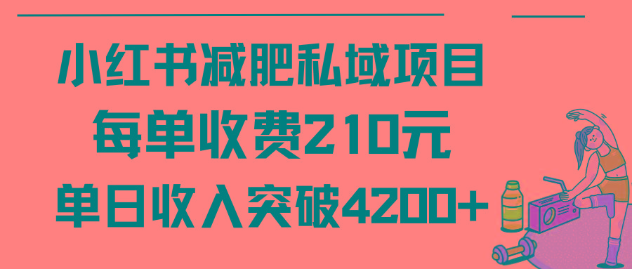 (9466期)小红书减肥私域项目每单收费210元单日成交20单，最高日入4200+-江南创业网